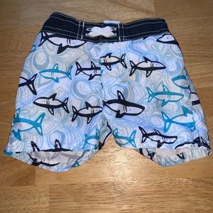 💚Shark Swim Trunks